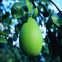 海康MV-IDE012X智能讀碼器